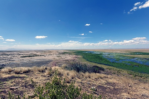 Kenia (230)